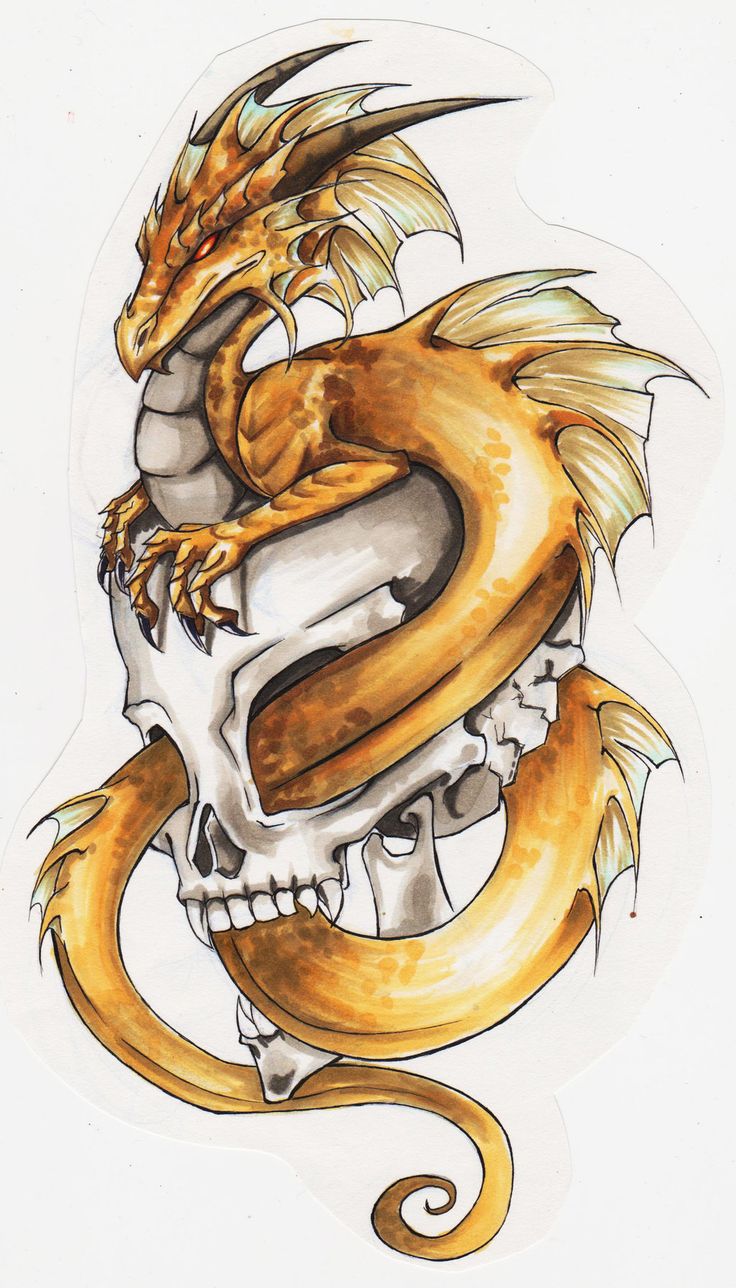 Tattoo Trends 50 Dragon Tattoos Designs And Ideas Yo Tattoo Your Number