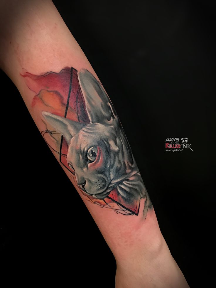 Geometric Tattoo Sphynx Naked Cat Watercolor Geometric Tattoo By Nick Limpens From Royal Ink