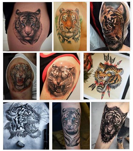 Tattoo Trends - 15 Best Tiger Tattoo Designs And Meanings With Images ...