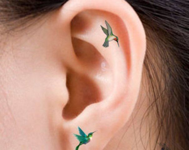 Women Tattoo  tiny hummingbird tattoo ear  Google Search   TattooViral.com  Your Number 