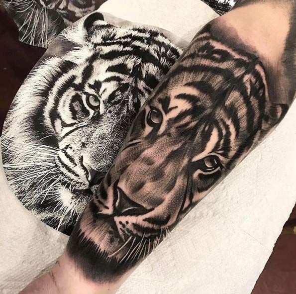 Animal Tattoo Designs - Black and grey ink tiger tattoo by Ethan Gozum