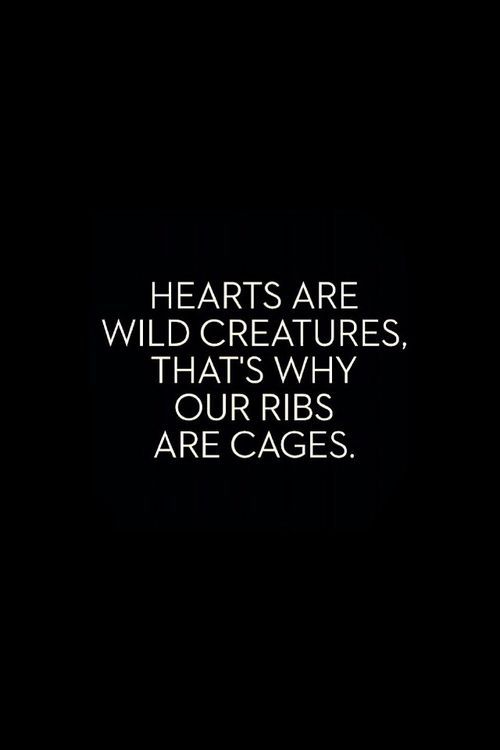 our hearts are wild creatures that