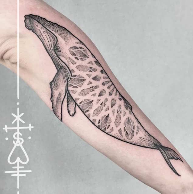 Tattoo uploaded by KTREW Tattoo • Illustrative Humpback Whale Tattoo by  Kirstie @ KTREW Tattoo - Birmingham, UK #whaletattoo #whale #tattoos  #illustrativetattoo #finelinetattoo #birmingham • Tattoodo