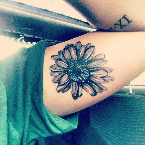 85+ Free Download Daisy Tattoo Inspiration Idea Tattoo Photos