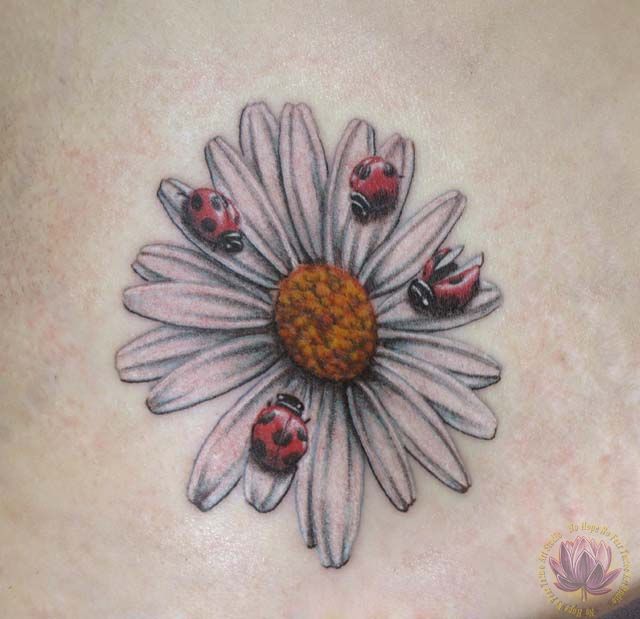 85+ Free Download Daisy Tattoo Inspiration Idea Tattoo Photos