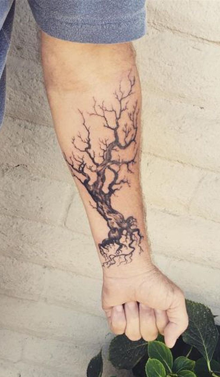 Oak Tree Tattoo with Fox Den Celtic Design — LuckyFish, Inc. and Tattoo  Santa Barbara