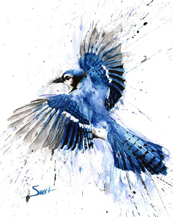 Watercolor Tattoo Blue Jay Painting Abstract Bird Blue Jay Art Bird Par Signedsweet Tattooviral Com Your Number One Source For Daily Tattoo Designs Ideas Inspiration