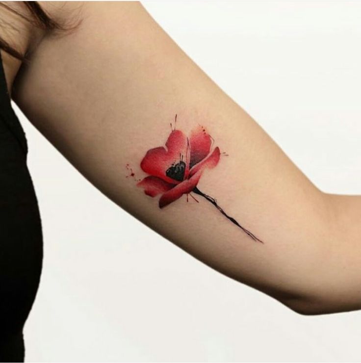 Corn Poppy Flower Tattoo Best Tattoo Ideas