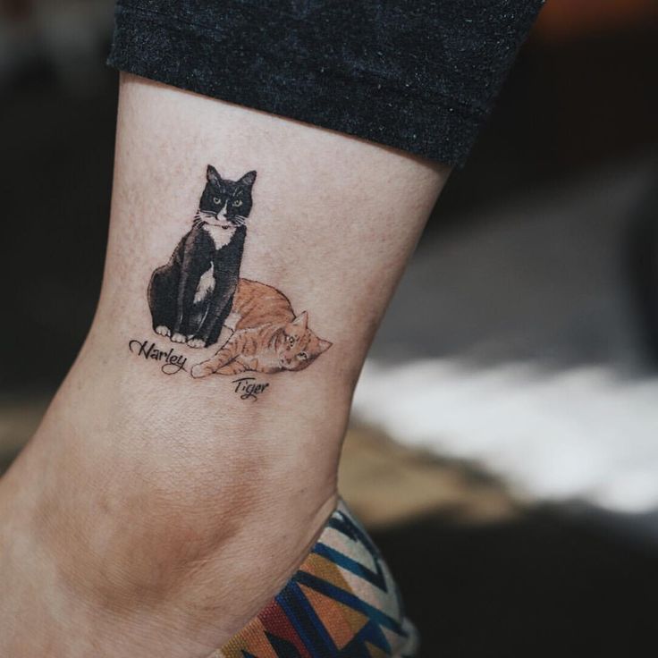 88+ Free Cat Tattoo Inspiration HD Tattoo