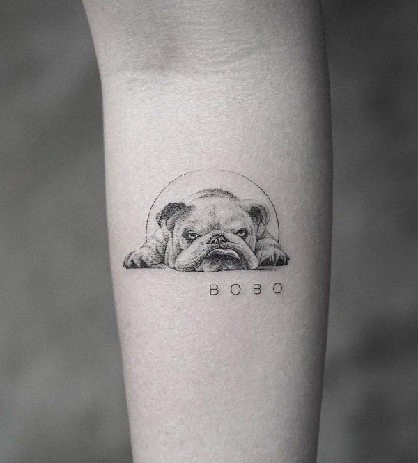 85+ Free Download Tattoo Simple Dog HD Tattoo Photos