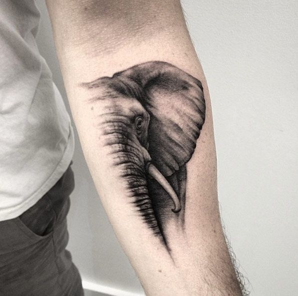 104 Free Elephant Tattoo Inspiration Idea Tattoo