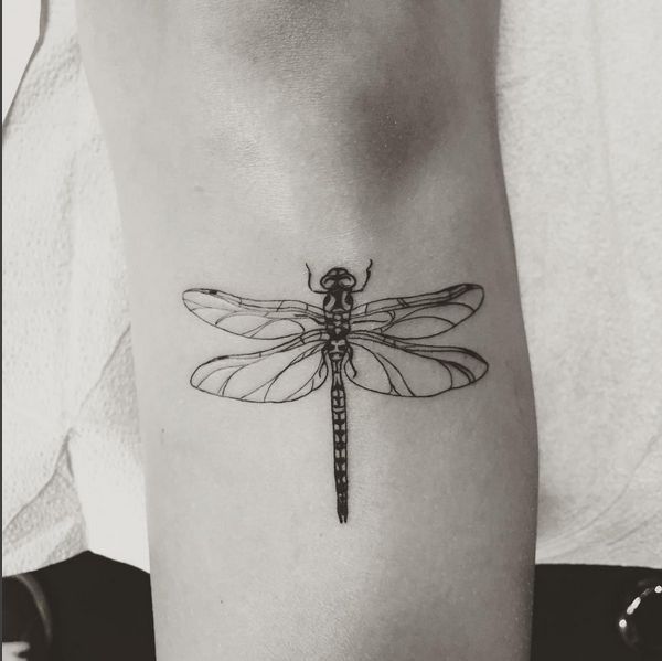 73 Free Dragonfly Tattoo Inspiration Idea Tattoo Images