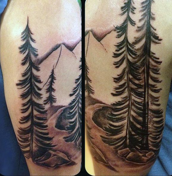 Tree Tattoo 70 Pine Tree Tattoo Ideas For Men Wood In - 