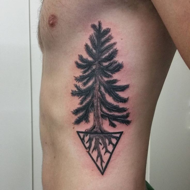 Fine line pine tree tattoo located on the rib.