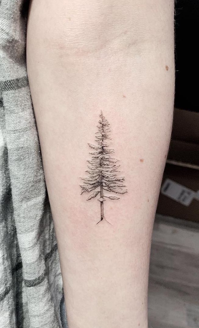 Tree Tattoo - 50 Gorgeous and Meaningful Tree Tattoos Inspired by ...