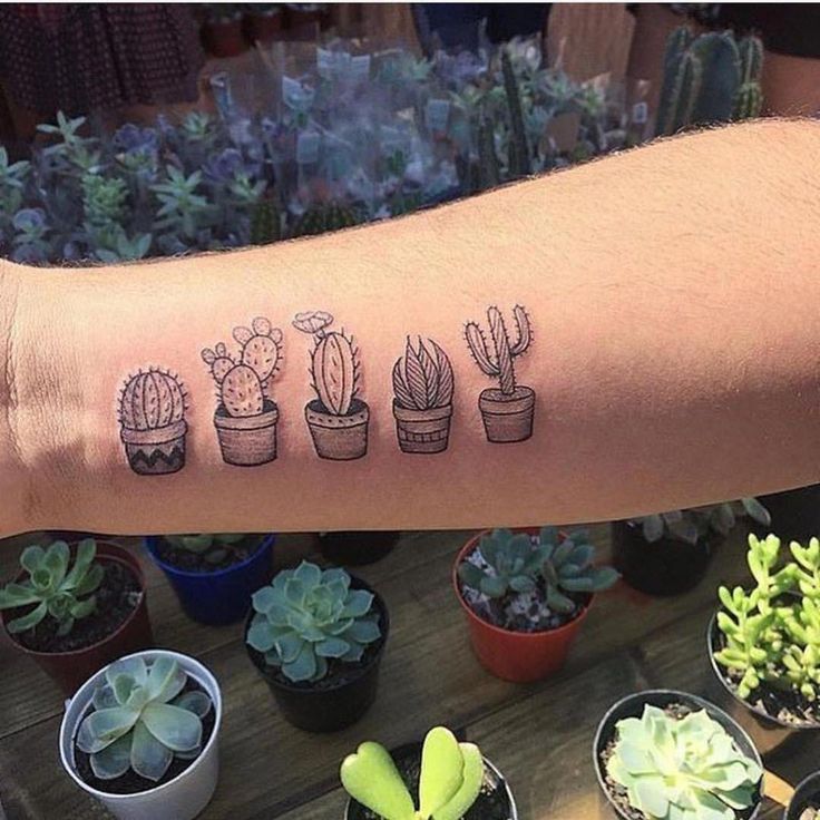 46 Free Tattoo Simple Cactus Idea Tattoo Images