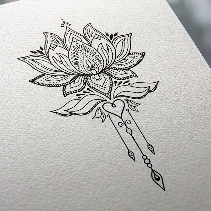 70 Free Download Lotus Tattoo Inspiration Idea Tattoo Images