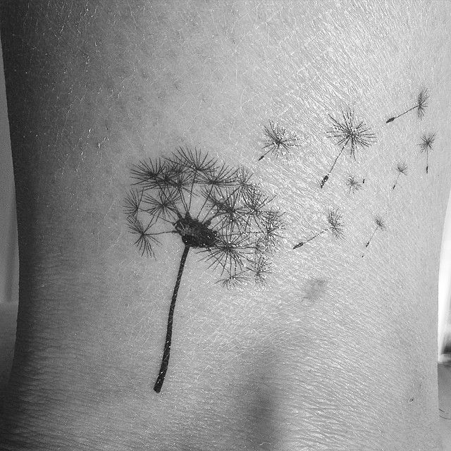 Tattoo Trends Tatto Ideas 17 Laceriseboheme On Instagram Le Dandelion Dans La Peau Souffle Et Fais Un Vœu Tatoo Tatouage Dandelion Pissenlit Fleur Voeu Carpediem Tattooviral Com Your Number