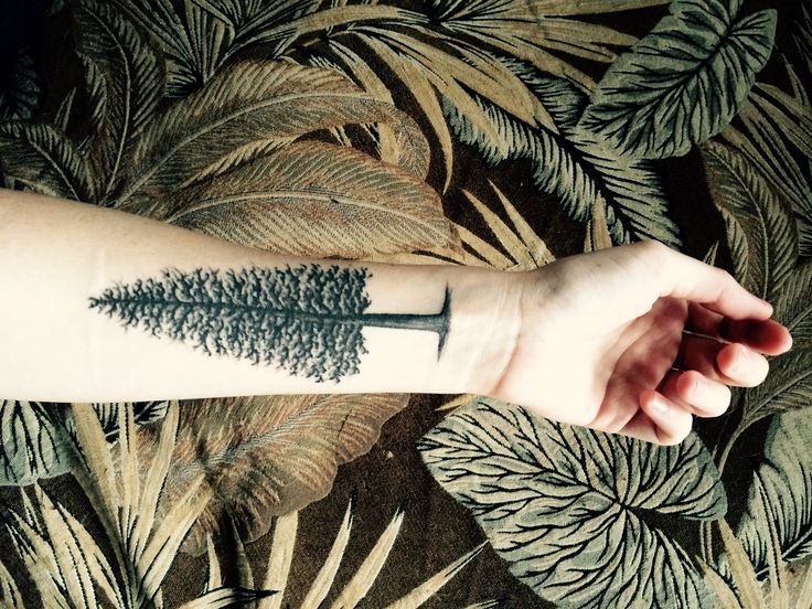 Traditional Pine Tree Forearm Tattoo - wide 4