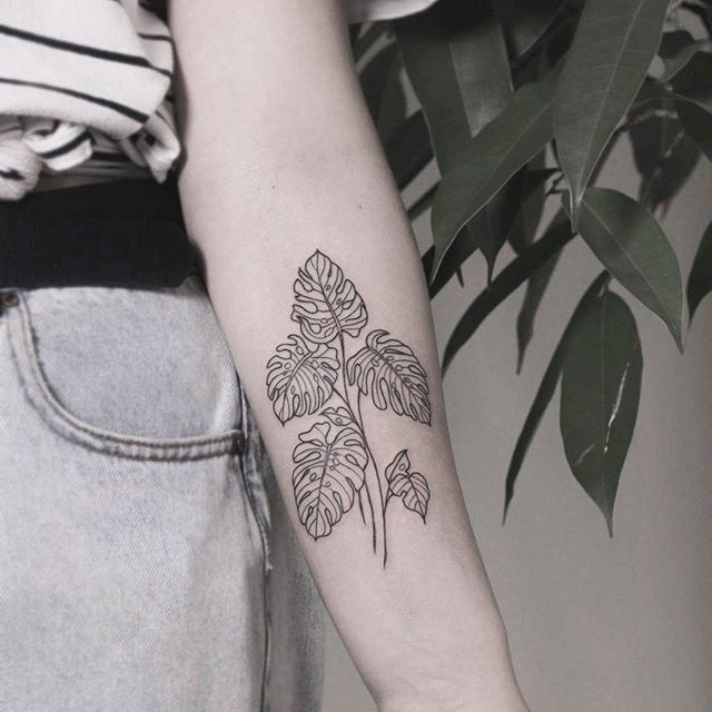 Tree Tattoo - Monstera leaf - TattooViral.com | Your Number One source ...