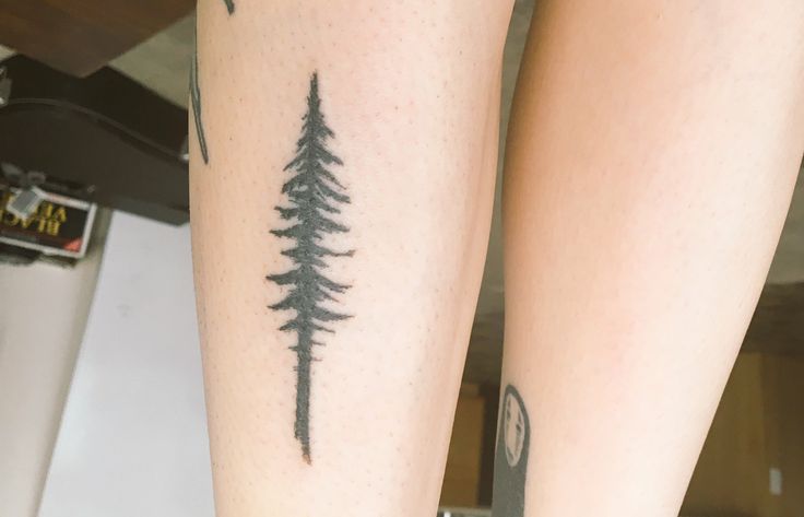 Tree Tattoo - Pnw inspired pine tree tattoo - TattooViral.com | Your ...