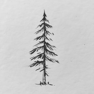 Tree Tattoo - Little pine tree Who else is spending too much time ...