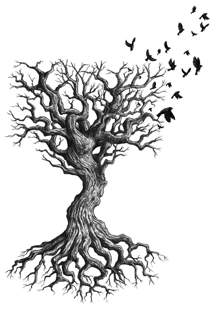 101 Amazing Oak Tree Tattoo Ideas You Need To See! | Outsons | Men's  Fashion Tips And Style Guides | Oak tree tattoo, Tree roots tattoo, Tree  tattoo