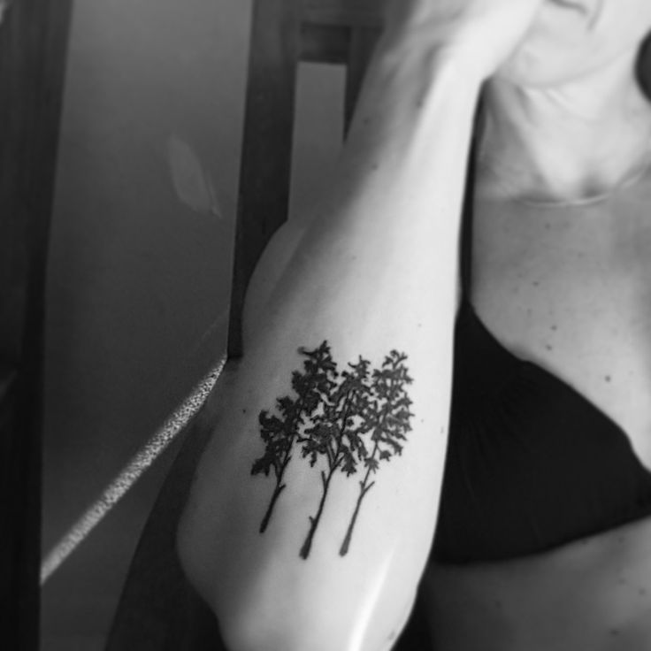 Tree Tattoo - Tattoo pine trees - placement lower arm - TattooViral.com ...