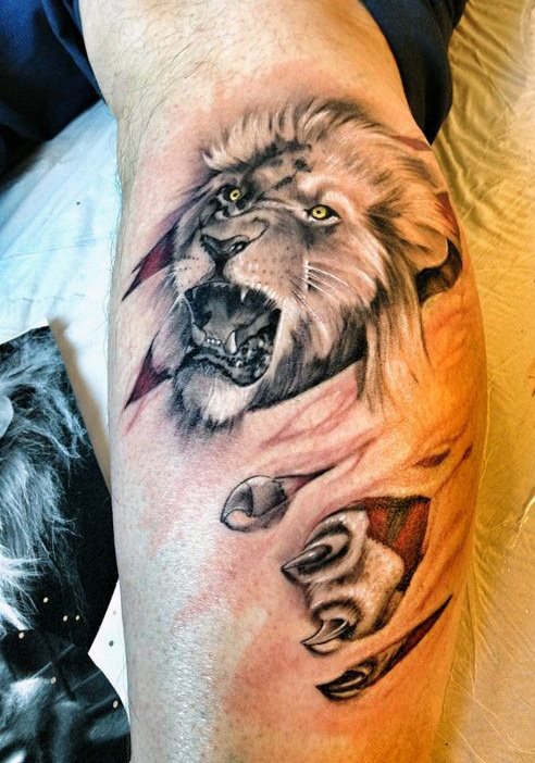 tattoo lion 440