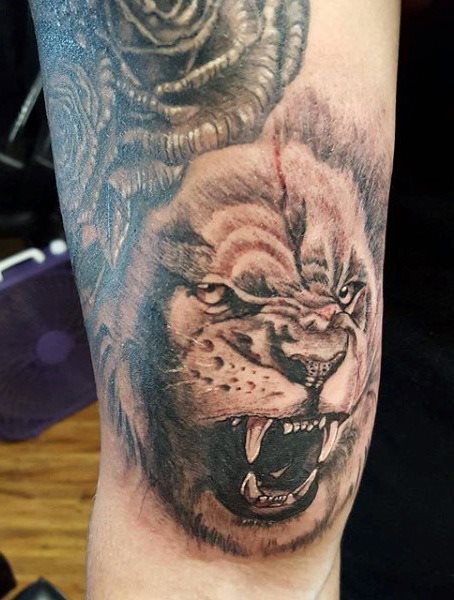 tattoo lion 258