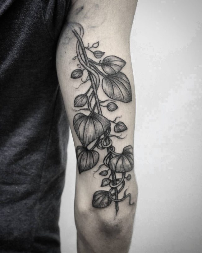 50 Tattoos of plants and climbing flowers (Vines) - TattooViral.com | Your Number One source for ...