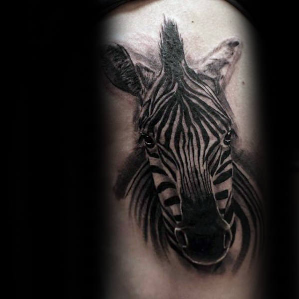 zebra tattoo telegraph
